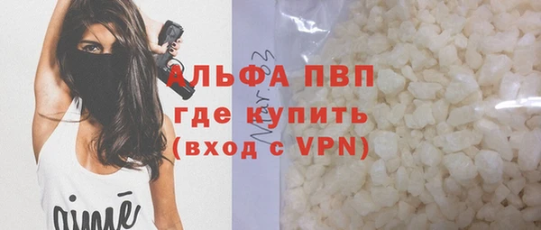 ПСИЛОЦИБИНОВЫЕ ГРИБЫ Заводоуковск