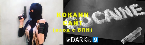 индика Заволжск