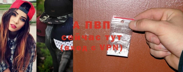 индика Заволжск