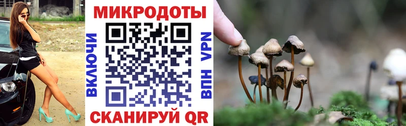 Купить где  Тула  Псилоцибиновые грибы Cubensis 